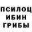 Псилоцибиновые грибы GOLDEN TEACHER Teimir YT