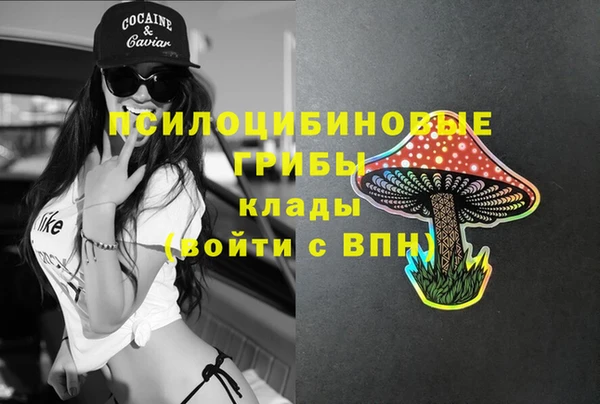 прущий лед Киреевск