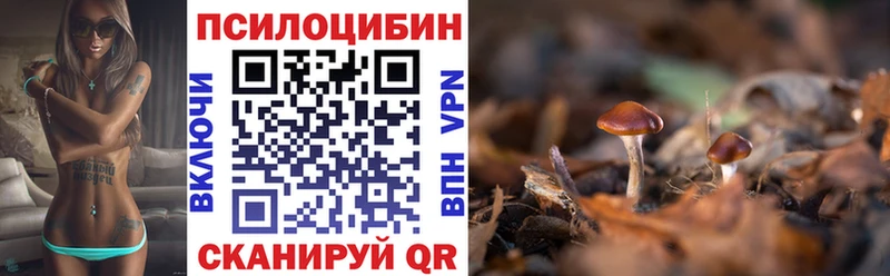 Галлюциногенные грибы GOLDEN TEACHER  Клинцы 