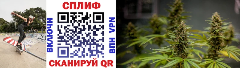 закладки  shop официальный сайт  Бошки Шишки White Widow  Клинцы  блэк спрут ONION 